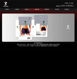 龍華觀湖順鼎宏電子公司網(wǎng)站建設(shè)案例